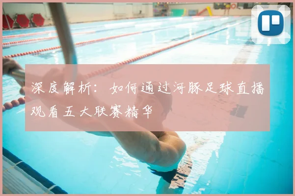 深度解析：如何通过河豚足球直播观看五大联赛精华