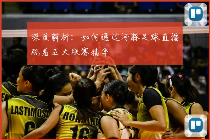 深度解析：如何通过河豚足球直播观看五大联赛精华