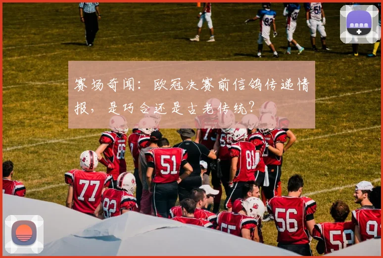 赛场奇闻：欧冠决赛前信鸽传递情报，是巧合还是古老传统？