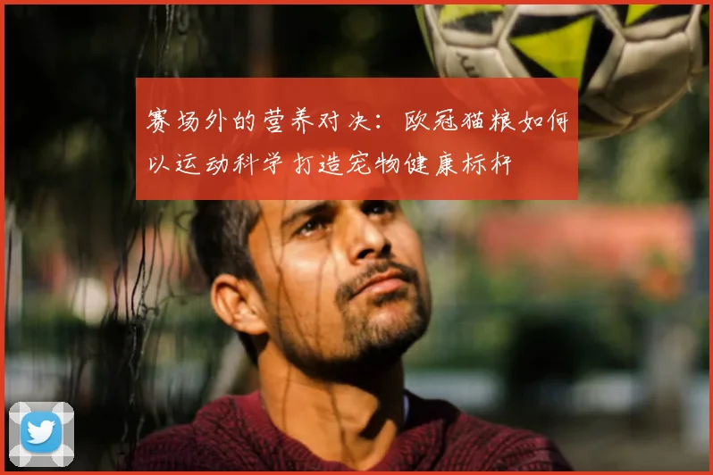 赛场外的营养对决：欧冠猫粮如何以运动科学打造宠物健康标杆