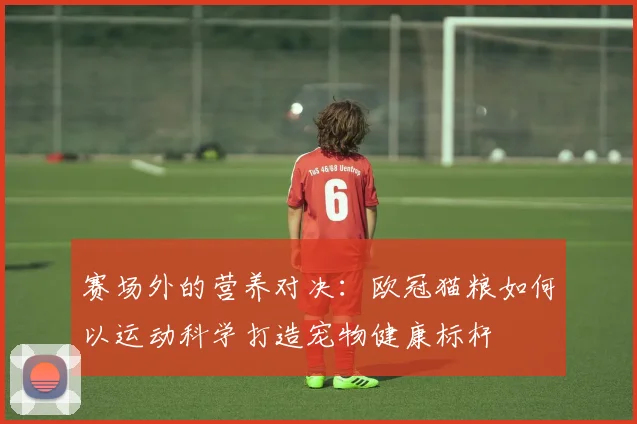 赛场外的营养对决：欧冠猫粮如何以运动科学打造宠物健康标杆