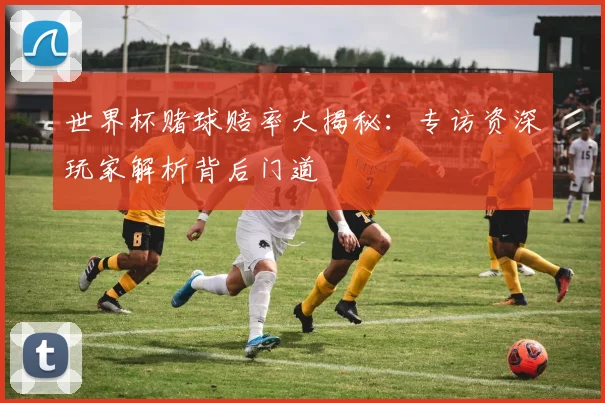 世界杯赌球赔率大揭秘:专访资深玩家解析背后门道