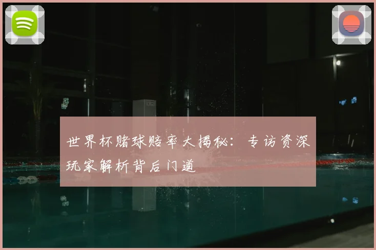 世界杯赌球赔率大揭秘:专访资深玩家解析背后门道