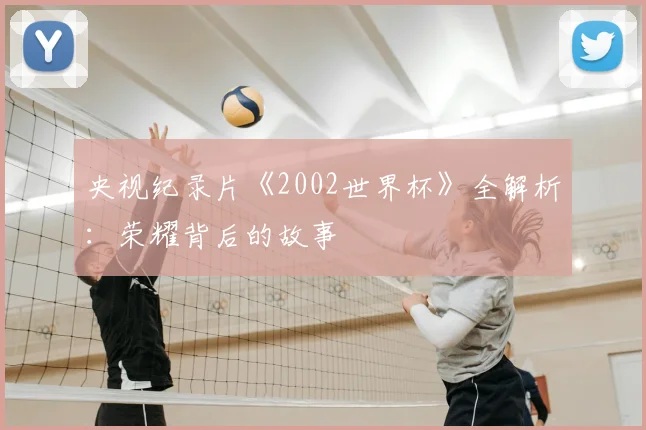 央视纪录片《2002世界杯》全解析：荣耀背后的故事