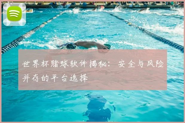 世界杯赌球软件揭秘:安全与风险并存的平台选择