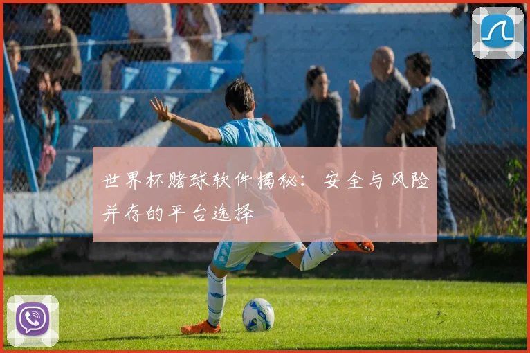 世界杯赌球软件揭秘:安全与风险并存的平台选择